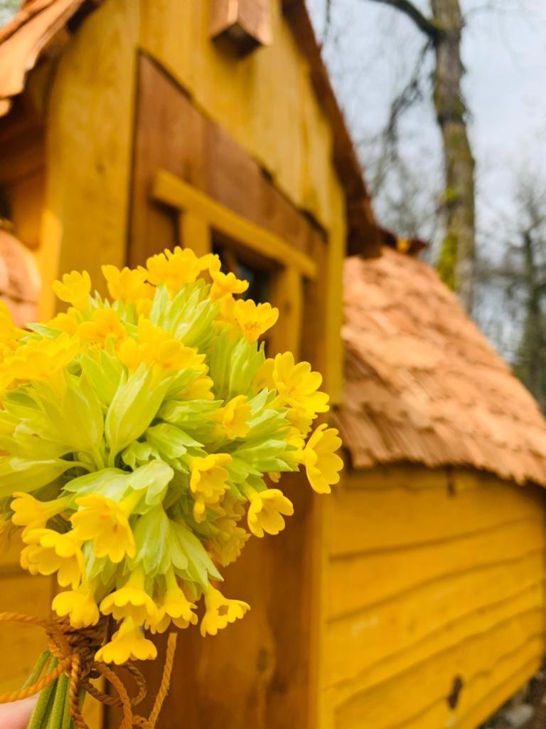 Camping Ushuaia Villages Au Bois Joli Andryes Ngoại thất bức ảnh
